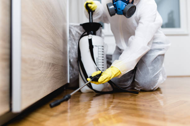Best Local Pest Control Services  in Shawano, WI