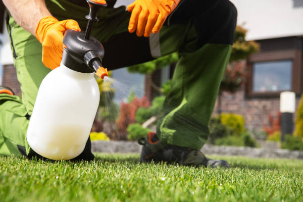 Best Commercial Pest Control Services  in Shawano, WI